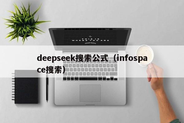 deepseek搜索公式（infospace搜索）