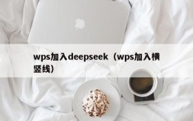 wps加入deepseek(wps加入横竖线)