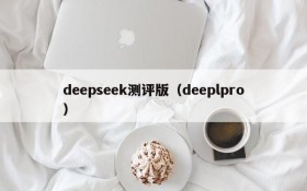 deepseek测评版(deeplpro)