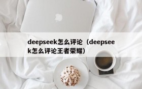 deepseek怎么评论（deepseek怎么评论王者荣耀）