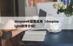 deepseek深度应用（deepinsight软件介绍）