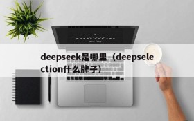 deepseek是哪里（deepselection什么牌子）