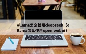 ollama怎么使用deepseek（ollama怎么使用open webui）