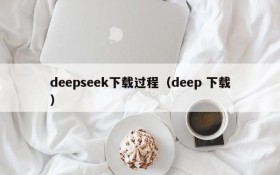 deepseek下载过程（deep 下载）