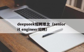 deepseek招聘理念（senior it engineer招聘）