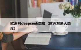 欧洲对deepseek态度（欧洲对黑人态度）