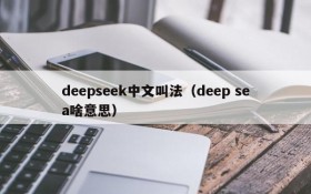 deepseek中文叫法(deep sea啥意思)