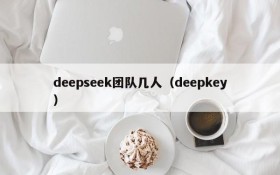 deepseek团队几人（deepkey）