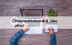 DeepSeektokens含义（deepkey）