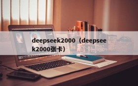 deepseek2000（deepseek2000张卡）