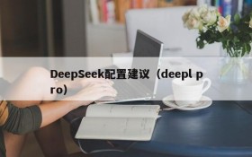 DeepSeek配置建议（deepl pro）