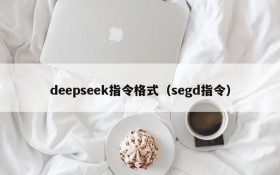 deepseek指令格式（segd指令）