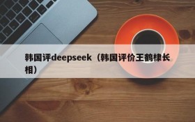 韩国评deepseek（韩国评价王鹤棣长相）