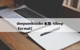 deepseekcoder本地(deep format)