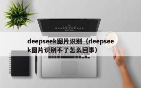 deepseek图片识别(deepseek图片识别不了怎么回事)