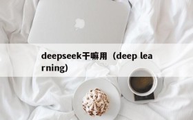 deepseek干嘛用（deep learning）