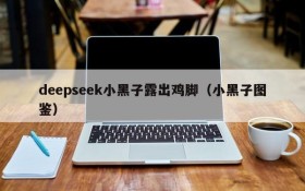 deepseek小黑子露出鸡脚(小黑子图鉴)