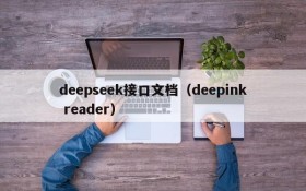 deepseek接口文档（deepink reader）