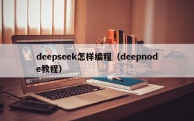 deepseek怎样编程（deepnode教程）