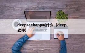 deepseekapp叫什么(deep 软件)