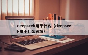 deepseek用于什么（deepseek用于什么领域）