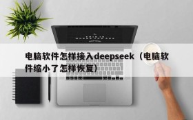 电脑软件怎样接入deepseek(电脑软件缩小了怎样恢复)