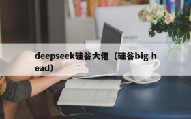 deepseek硅谷大佬（硅谷big head）