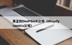 真正的DeePSeeK公司(deepdynamics公司)