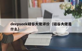 deepseek硅谷大佬评价（硅谷大佬是什么）