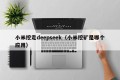 小米挖走deepseek（小米挖矿是哪个应用）