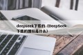 deepseek下载的（DeepSeek下载的图标是什么）