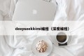 deepseekkimi编程（深度编程）