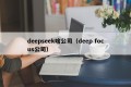 deepseek啥公司（deep focus公司）