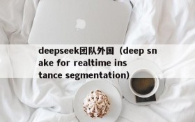 deepseek团队外国(deep snake for realtime instance segmentation)