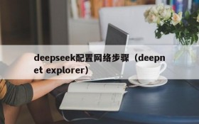 deepseek配置网络步骤（deepnet explorer）