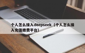 个人怎么接入deepseek(个人怎么接入充值缴费平台)