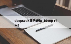 deepseek其他玩法（deep rise）