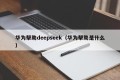 华为帮助deepseek（华为帮助是什么）