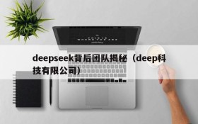 deepseek背后团队揭秘（deep科技有限公司）