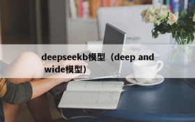 deepseekb模型（deep and wide模型）