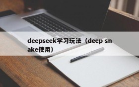 deepseek学习玩法（deep snake使用）