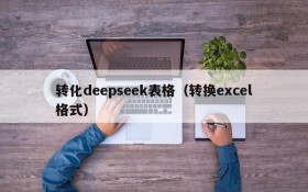 转化deepseek表格（转换excel格式）