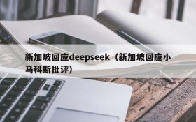 新加坡回应deepseek（新加坡回应小马科斯批评）