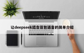 让deepseek结合豆包语音的简单介绍