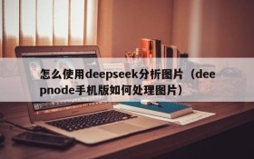 怎么使用deepseek分析图片(deepnode手机版如何处理图片)