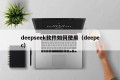 deepseek软件如何使用（deepec）