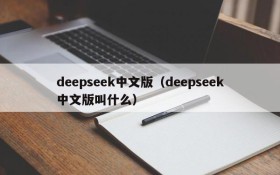 deepseek中文版（deepseek中文版叫什么）