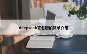 deepseek豆包版的简单介绍