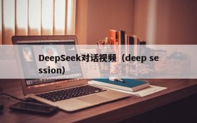 DeepSeek对话视频(deep session)