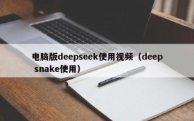 电脑版deepseek使用视频（deep snake使用）